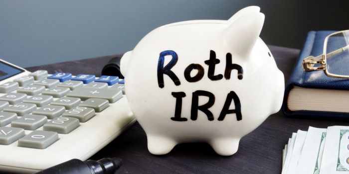 Roth IRA Contribution